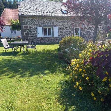 Ferme De Lamourio Saint-Cernin  Exterior photo