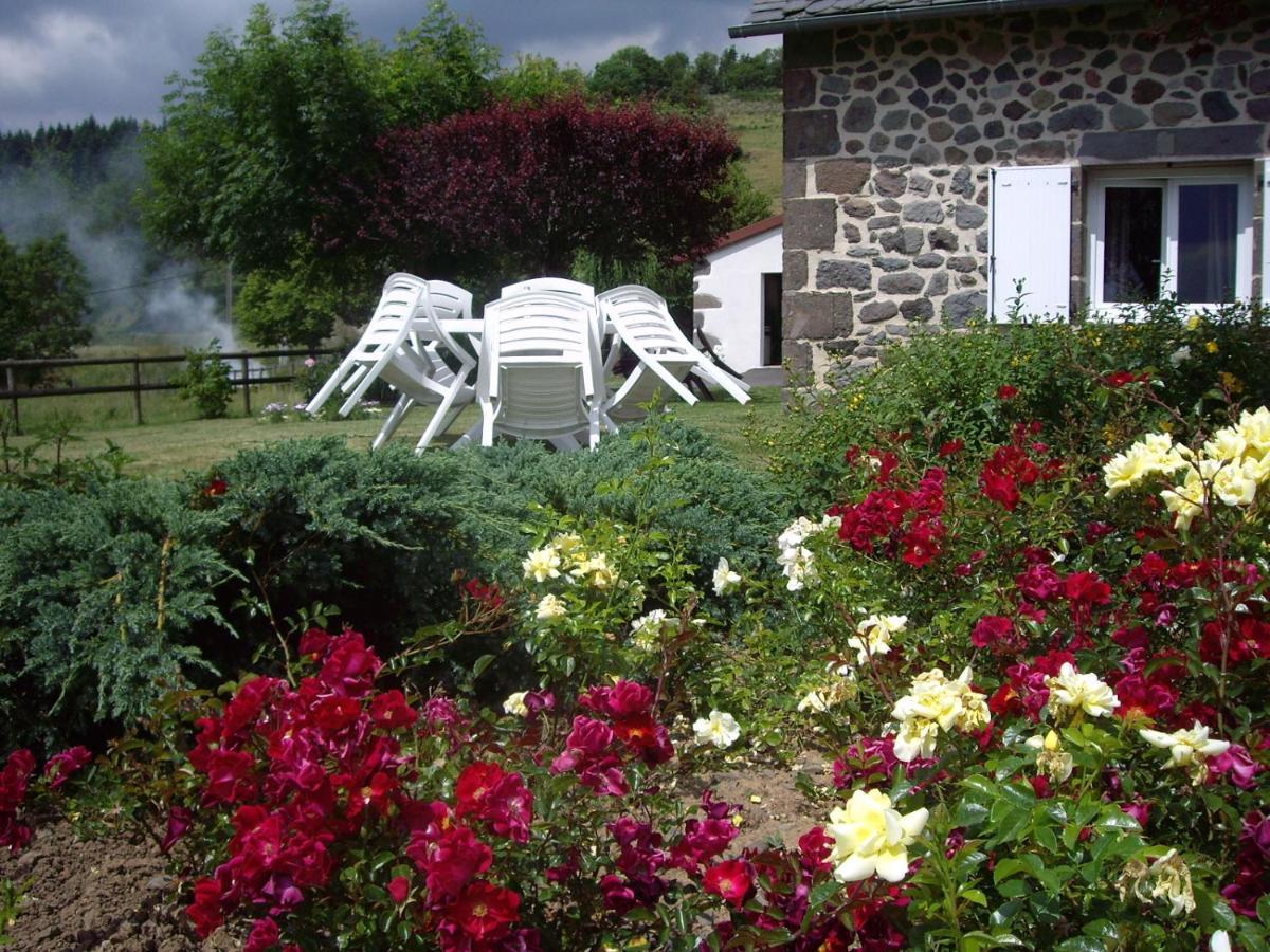 Ferme De Lamourio Saint-Cernin  Exterior photo